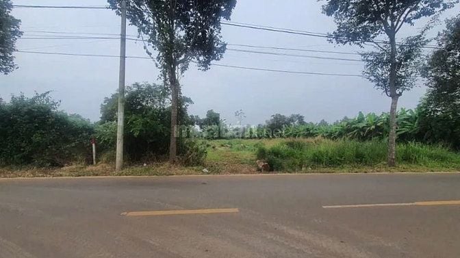 Công ty Đấu giá hợp danh Lam Sơn Sài Gòn THÔNG BÁO ĐẤU GIÁ TÀI SẢN