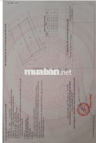 Bán đất vườn cây lâu năm, kênh 10, xã Tân Nhựt, TP. HCM