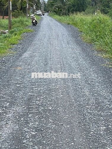 Bán đất vườn cây lâu năm, kênh 10, xã Tân Nhựt, TP. HCM