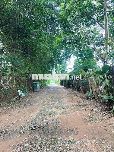 Bán đất thuộc hoà lợi bến cát thành Phố Hồ Chí Minh