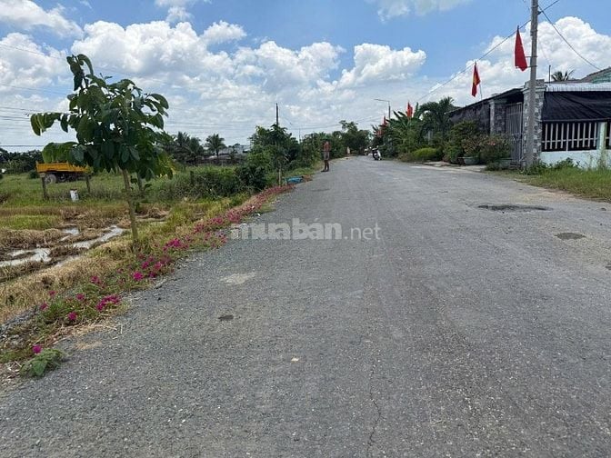 ĐẤT LÚA CHÍNH CHỦ - SỔ HỒNG RIÊNG - Xã Tân Trạch, Cần Đước, Long An