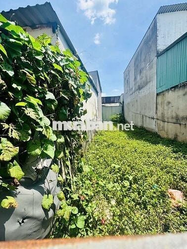 ĐẤT 4 X20 THỔ CƯ CÁCH ĐƯỜNG 6A vào 50m