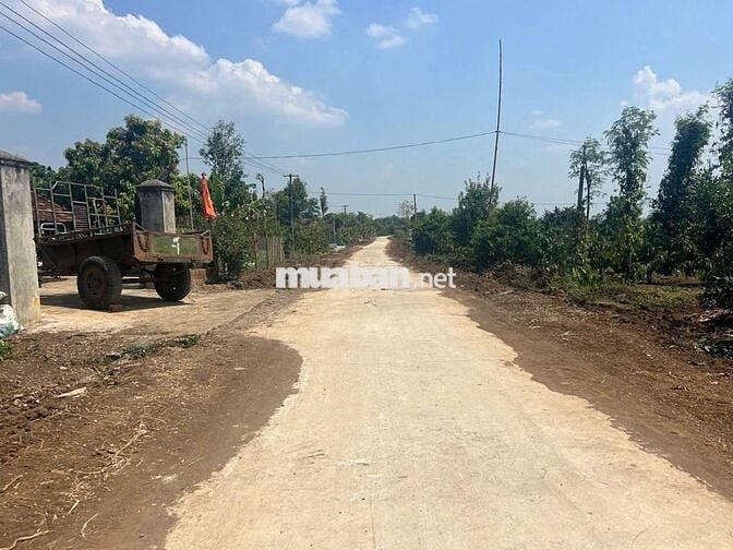 Ea Siên- Buôn Hồ- Daklak ( đường Quy hoạch 12M)
