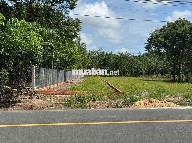 Bán đất TP Hồ Chí Minh đường nhựa lớn dân đông,giá 450TR/250m2