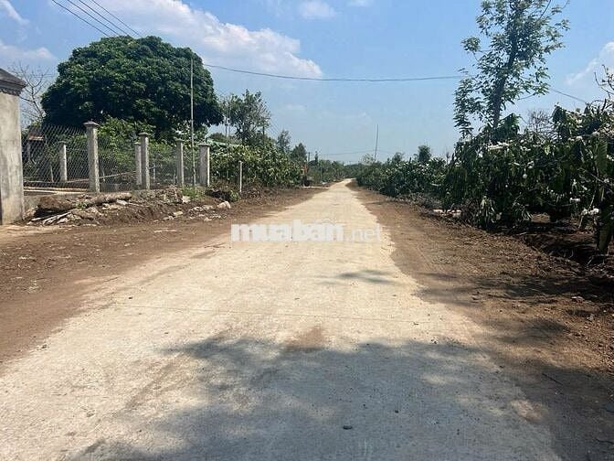 Ea Siên- Buôn Hồ- Daklak ( đường Quy hoạch 12M)