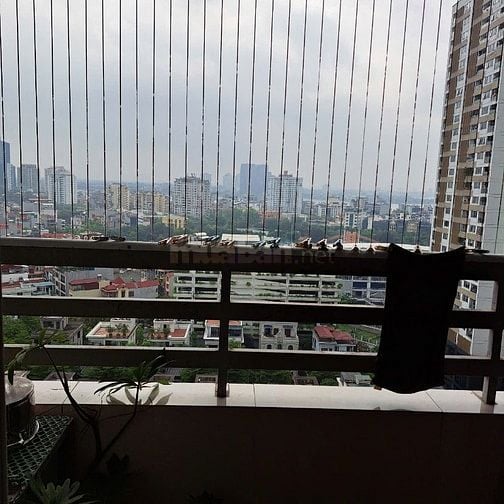 Cho Thuê nhà khu Ngoại Giao đoàn