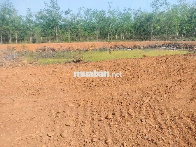bán đất nông trại resrost nghỉ dưỡng