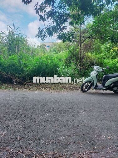 Đất Thủ Dầu Một Bình Dương. Ngay trường học Trần Bình Trọng.