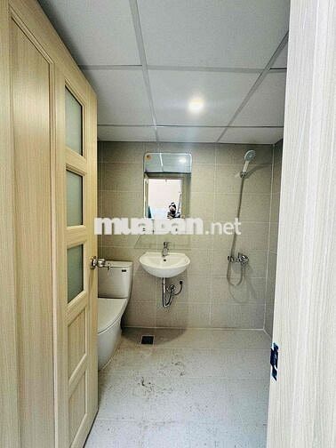 Cho Thuê Nhà 102/12 Hồ Biểu Chánh Phường 11 Quận Phú Nhuận