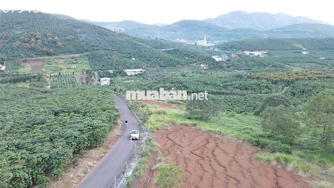 CẦN BÁN ĐẤT LỘC NGÃI – BẢO LỘC, LÂM ĐỒNG