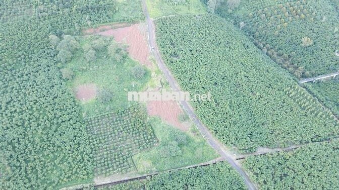 CẦN BÁN ĐẤT LỘC NGÃI – BẢO LỘC, LÂM ĐỒNG