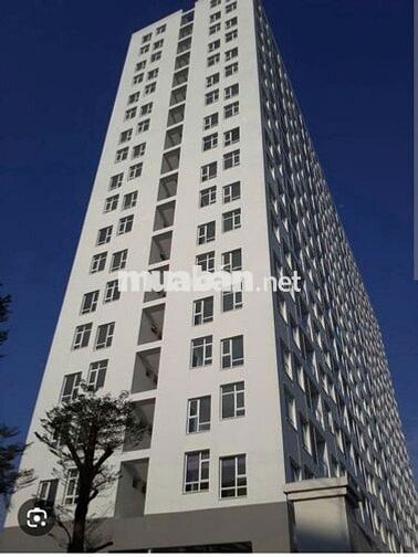 Bán căn hộ 2PN, 2WC ở Hoa Sen - Lotus Apartment, 3,65 tỷ, 66m2