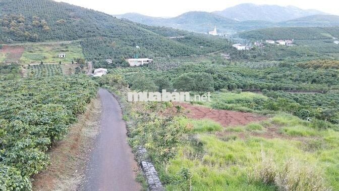 CẦN BÁN ĐẤT LỘC NGÃI – BẢO LỘC, LÂM ĐỒNG