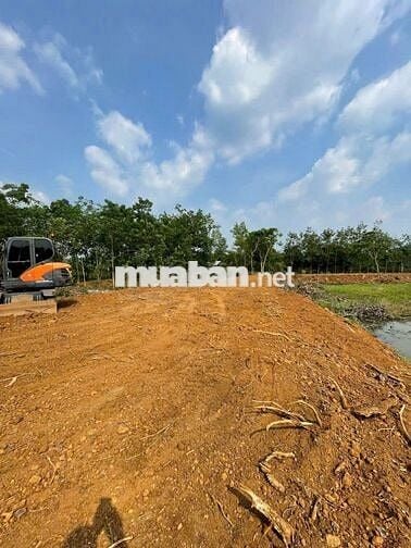 bán đất nông trại resrost nghỉ dưỡng