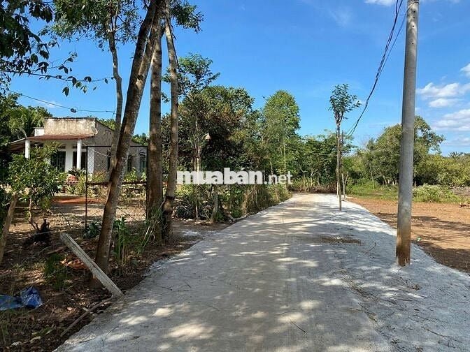 bán đất nông trại resrost nghỉ dưỡng
