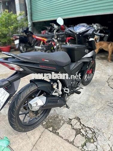 winer v1 2018 zin