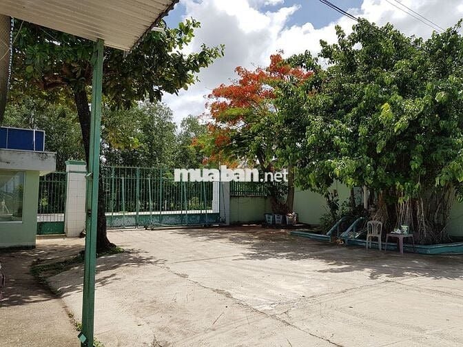 100m mặt tiền 20300m2 đường Hùng Vương - Phước Bửu - Xuyên Mộc