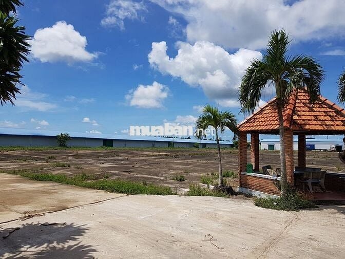 100m mặt tiền 20300m2 đường Hùng Vương - Phước Bửu - Xuyên Mộc