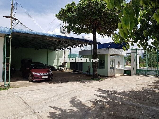 100m mặt tiền 20300m2 đường Hùng Vương - Phước Bửu - Xuyên Mộc