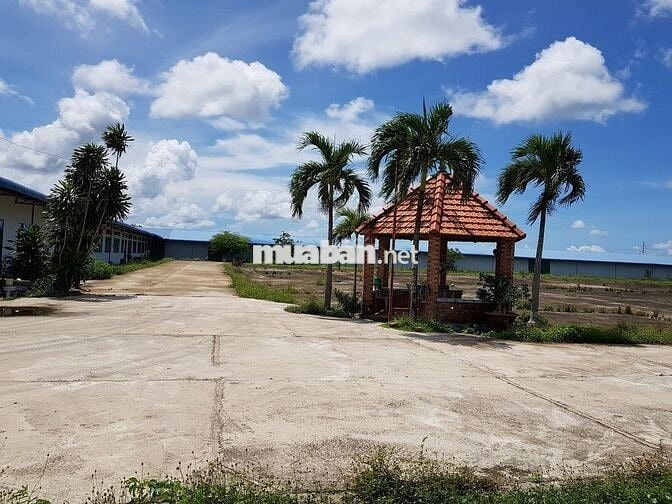 100m mặt tiền 20300m2 đường Hùng Vương - Phước Bửu - Xuyên Mộc