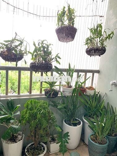 CHO THUÊ CĂN HỘ KĐT VIỆT HƯNG: 90m2_3PN