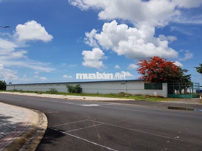 100m mặt tiền 20300m2 đường Hùng Vương - Phước Bửu - Xuyên Mộc