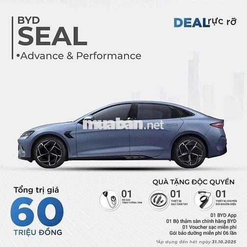 BYD 2025