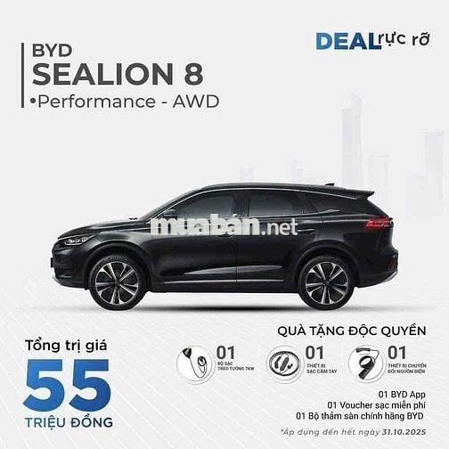 BYD 2025