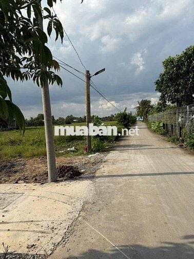 ĐẤT TẠI CẦN GIUỘC | CÁCH TPHCM CHỈ 10KM | GIỎ HÀNG HƠN 100 NỀN