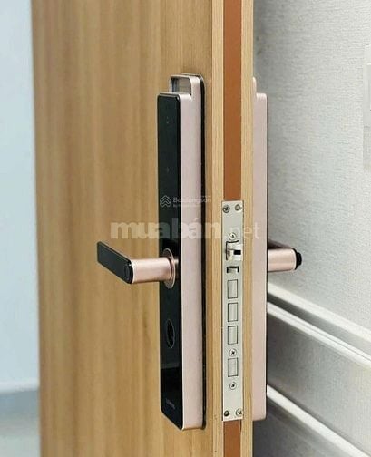 căn hộ Legacy Central diện tích 42m2 bàn giao nội thất cơ bản cao cấp