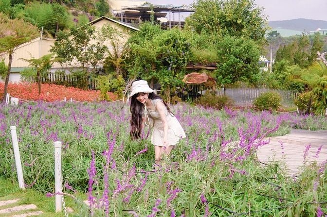 Cần bán 1 khu du lịch tại Đà Lạt