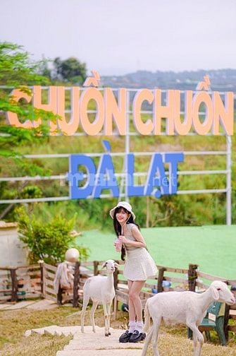 Cần bán 1 khu du lịch tại Đà Lạt