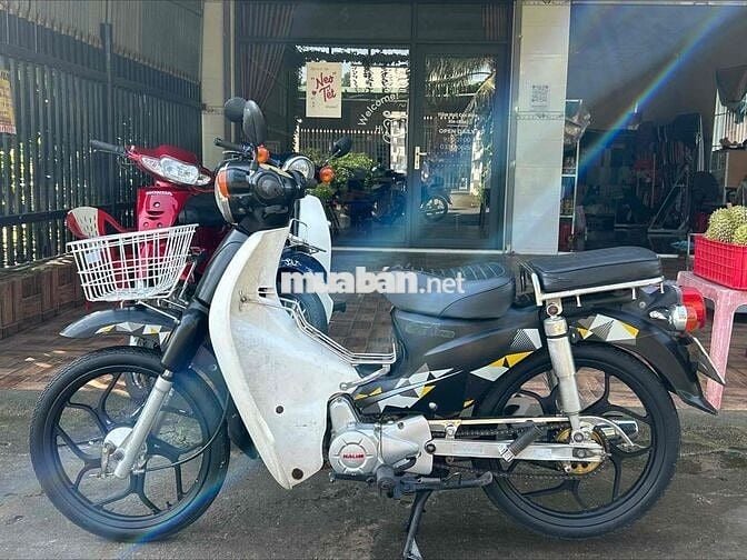 Cub 50cc đang hoạt động tốt