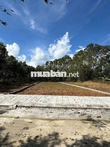 SIÊU PHẨM GIÁ RẺ 230M2 FUN THỔ CƯ GIÁ CHỈ 290TR