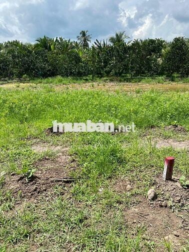 Đất Nền Thổ Cư Lộ Nhựa Giá Siêu Rẻ