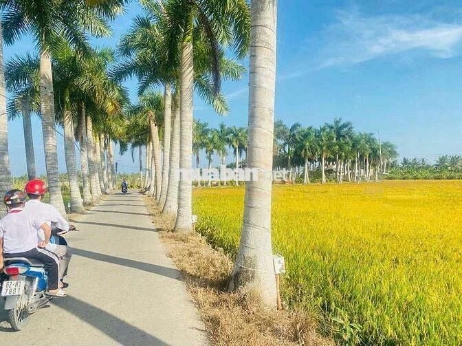 Chỉ 380tr sở hữu 150m2 đất thổ đường xe tải cực đẹp