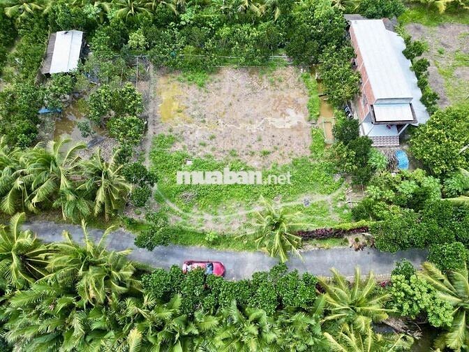 Đất Nền Thổ Cư Lộ Nhựa Giá Siêu Rẻ