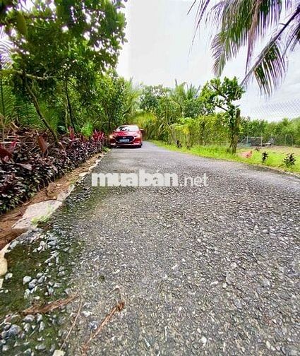 Đất Nền Thổ Cư Lộ Nhựa Giá Siêu Rẻ