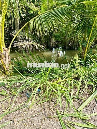 Đất Nền Thổ Cư Lộ Nhựa Giá Siêu Rẻ