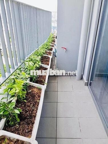 CẦN BÁN CĂN 2 PHÒNG NGỦ 1WC NHÀ TRỐNG 4,25TỶ