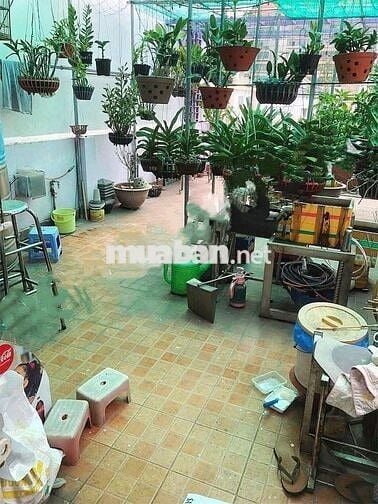 Cô Năm Cần Bán nhà Tạp hóa, ngay Chợ Bình Chánh, 1ty450tr