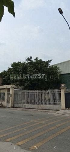 Bán xưởng 5,200m2, MT đường T835, Nhị Thành, Thủ Thừa, LA