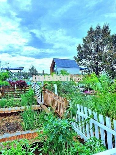 bán đất ngay quốc lộ 20 đất nghỉ dưỡng giá 900tr sang sổ