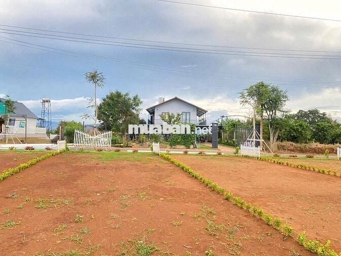 CHÍNH CHỦ CẦN TIỀN: Đất Di Linh Giá Sốc! Sổ Hồng, Vay 65%, View