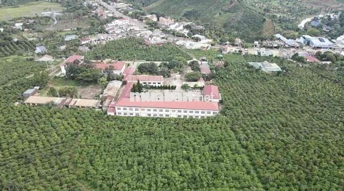 HÀNG NGỘP CẦN BÁN GẤP ĐẤT VƯỜN DI LINH