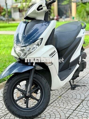 Freego 2019 đèn led. abs biển 43