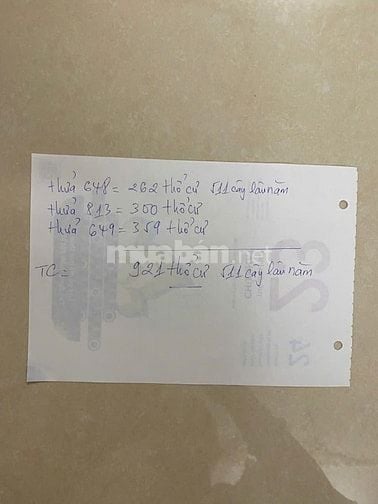 Bán đất xã Tân Nhựt, huyện Bình Chánh, tổng 1432m2