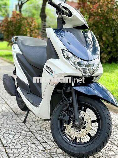 Freego 2019 đèn led. abs biển 43