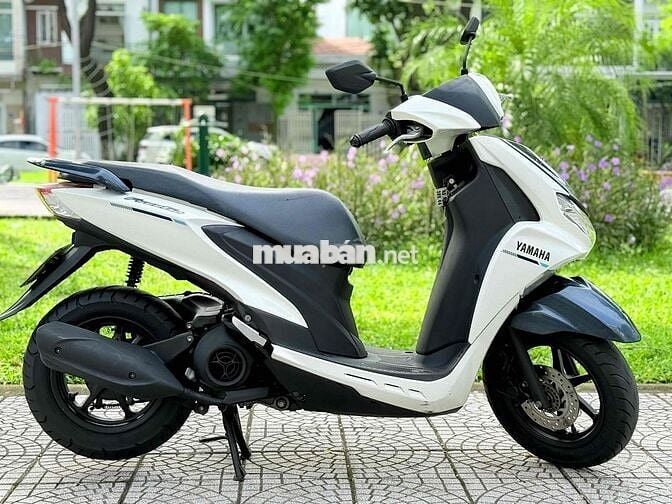 Freego 2019 đèn led. abs biển 43