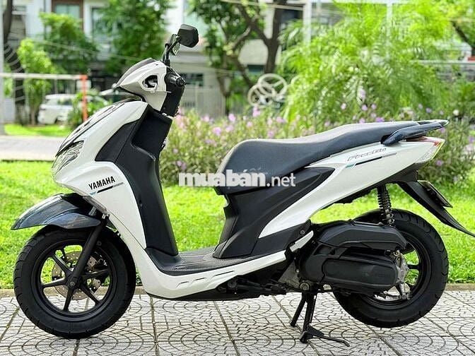 Freego 2019 đèn led. abs biển 43